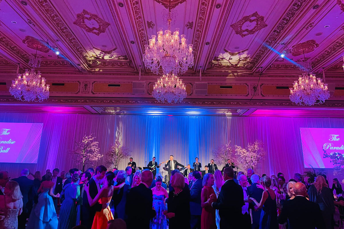 Wedding Reception Lights